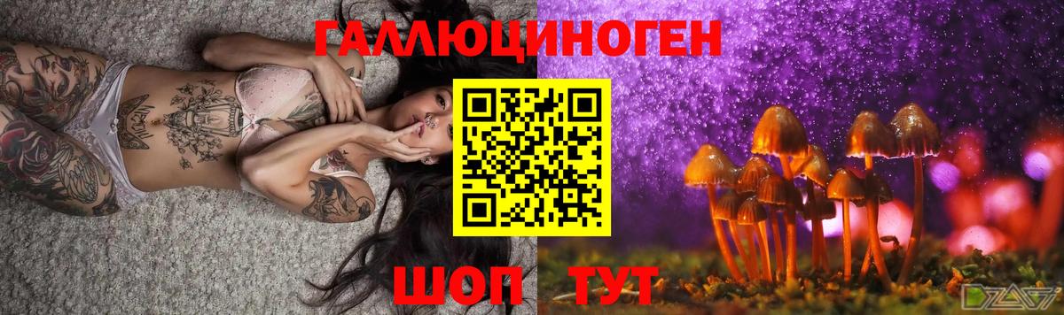 Владикавказ  Псилоцибиновые грибы Psilocybine cubensis  Псилоцибиновые грибы мухоморы  Вход с VPN 